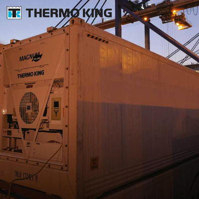MP4000 THERMO KING Behälterkühlgerät Magnum Plus