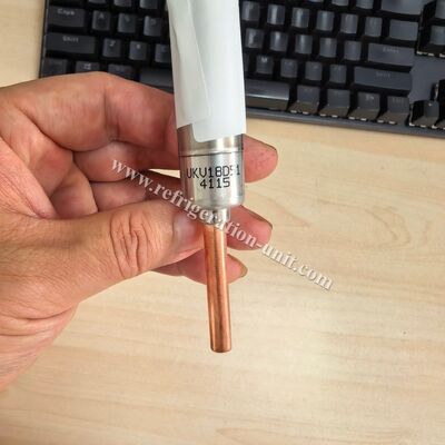 14-00393-01 VALVE, EXPANSION Originalteile für die Kühlvorrichtung für Anhänger des Typs He19