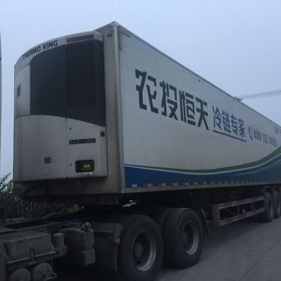 Thermo King 0 Celsius SLXI 300 Gefriereinheit zur Kühlung von Lebensmitteln